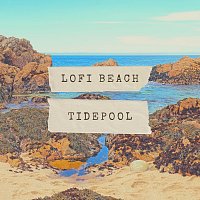 Přední strana obalu CD Tidepool