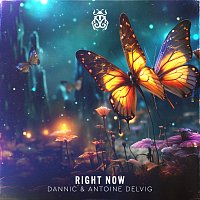 Dannic, Antoine Delvig – Right Now