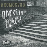 Hromosvod – Divoký ticho Žižkova CD