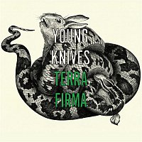 The Young Knives – Terra Firma