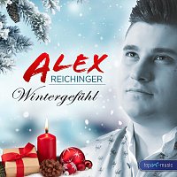 Alex Reichinger – Wintergefühl