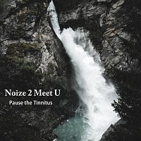 Přední strana obalu CD Pause the Tinnitus
