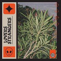 Přední strana obalu CD Lover Strangers