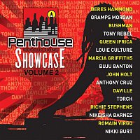 Přední strana obalu CD Penthouse Showcase Vol. 2