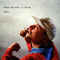 Přední strana obalu CD 2001