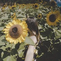 Carmen – Run