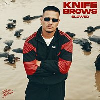 Dhanda Nyoliwala – Knife Brows [Slowed]