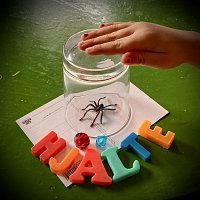 Klas Widén, Petra Hellsing – Spindelhjalten