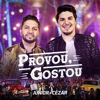 Júnior e Cézar – Provou, Gostou [Ao Vivo]