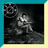 Darin – Fjarilar i magen [Akustisk - EP]