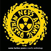 Ned's Atomic Dustbin – some furtive years  -  a ned's anthology