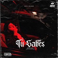 Přední strana obalu CD Tu Sabes