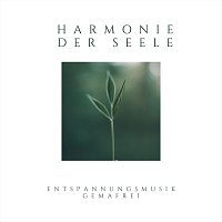 Entspannungsmusik Gemafrei – Harmonie der Seele