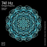 Miracle Tones & Solfeggio Healing Frequencies MT – 741 Hz Full Body Detox