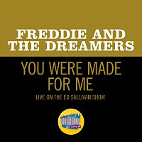 Freddie And The Dreamers – You Were Made For Me [Live On The Ed Sullivan Show, April 25, 1965]