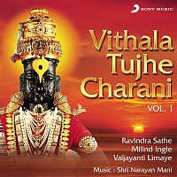 Shri Narayan Mani – Vithala Tujhe Charani, Vol. 1