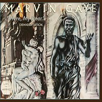 Marvin Gaye – Here My Dear Deluxe Edition