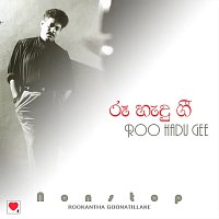 Přední strana obalu CD Roo Hadu Gee (Non-Stop)