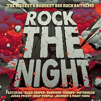 Various  Artists – Rock The Night!