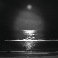 Reno Rojas, Edoardo Leds, Champ Jr. – el mar
