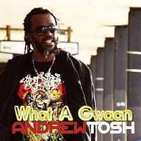 Andrew Tosh – What a Gwaan