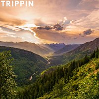 Přední strana obalu CD Trippin