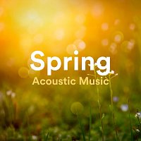 Různí interpreti – Spring Acoustic Music