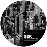 Sek – Lake People at the City