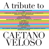 Různí interpreti – A Tribute To Caetano Veloso