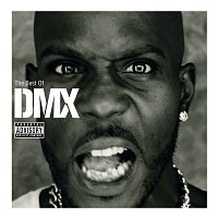 Přední strana obalu CD The Best Of DMX