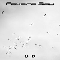 Přední strana obalu CD Foxfire Slay
