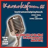 Přední strana obalu CD Ich schiesz dich auf den Mond - Instrumental - Karaoke