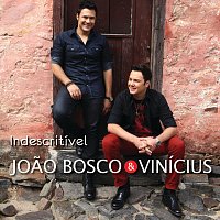 Joao Bosco & Vinícius – Indescritível [Live]