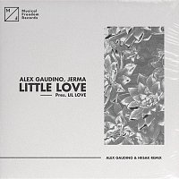 Alex Gaudino, Jerma – Little Love (pres. Lil' Love) [Alex Gaudino & Hiisak Remix]