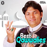 Přední strana obalu CD Best Qawwalies