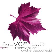 Sylvain Luc – Organic (feat. Thierry Eliez & André Ceccarelli)