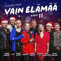 Přední strana obalu CD Vain elamaa kausi 11 - Joulukattaus