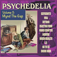 Přední strana obalu CD Psychedelia, Volume Five: Mynd The Gap