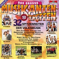 Přední strana obalu CD Das grosze Musikantentreffen - Folge 16
