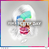 For A Better Day [Remixes]