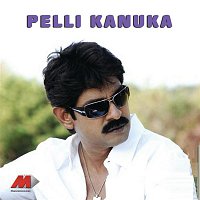 M.M. Keeravani – Pellikanuka (Original Motion Picture Soundtrack)