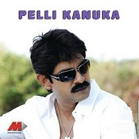 Pellikanuka (Original Motion Picture Soundtrack)