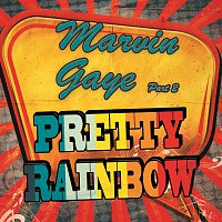 Marvin Gaye – Pretty Rainbow