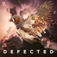 Ken Bauer – Defected