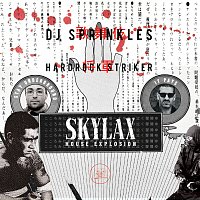 Přední strana obalu CD Skylax House Explosion [DJ Mix]