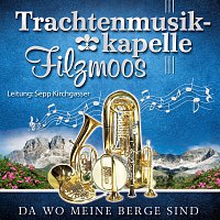 Trachtenmusikkapelle Filzmoos – Da wo meine Berge sind