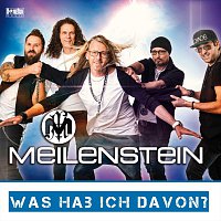 Meilenstein – Was hab ich davon