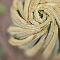 Přední strana obalu CD Wide Control