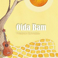 Přední strana obalu CD Oida Bam