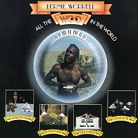 Bernie Worrell – All the Woo in the World